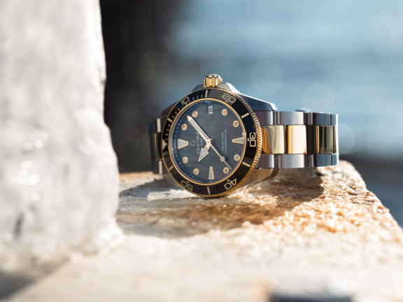 DS Action 43.5mm