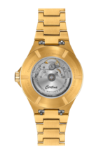 Unisex watch ∙ Automatic ∙ PVD coating ∙ 316L stainless steel - #4