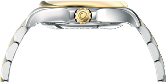 Women watch ∙ Automatic ∙ Mother of pearl ∙ 316L stainless steel - #5