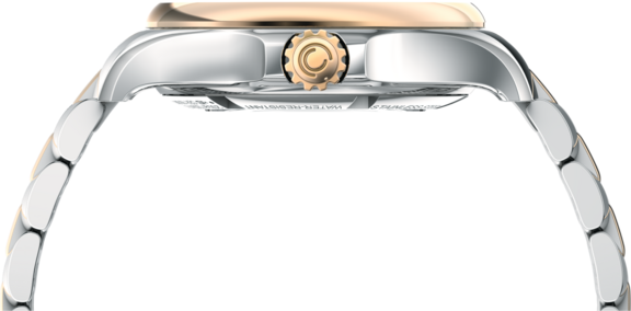 Women watch ∙ Automatic ∙ Brown ∙ 316L stainless steel - #5